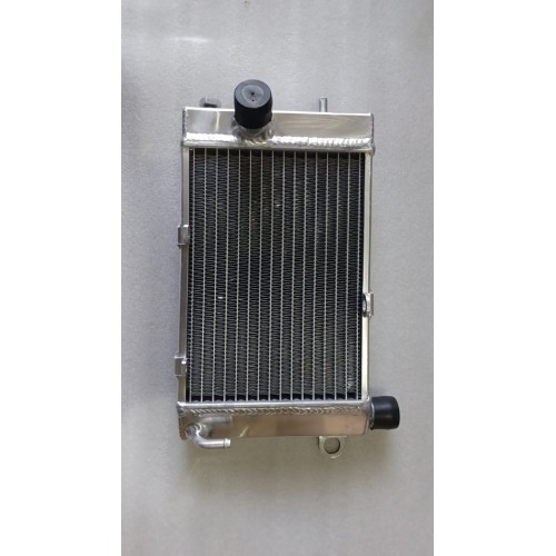 Radiator - Aprilia TUONO 1000 R/H 02-05