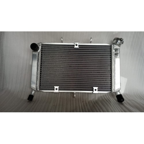 Radiator - Yamaha FZ6 2007-2009