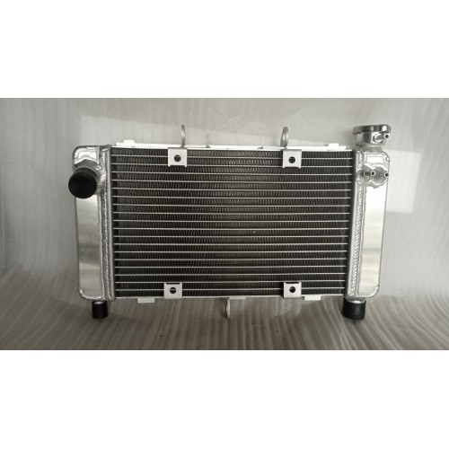Radiator - Yamaha FZ6 2004-2006