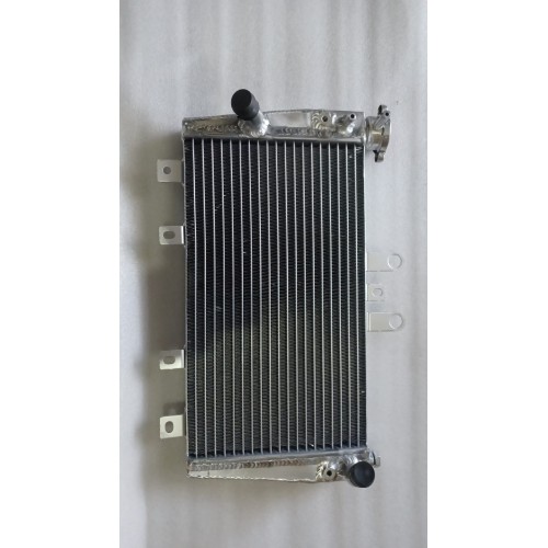 Radiator - Triumph Speed Triple 1050 2005-2010