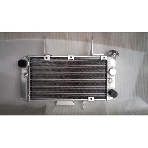 Radiator - Suzuki DL650 V STROM 2004-2011