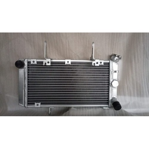 Radiator - Suzuki DL1000 V STROM 2002-2012