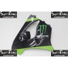 00-01 Kawasaki NINJA ZX9R DESIGN 4