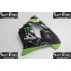 00-01 Kawasaki NINJA ZX9R DESIGN 4