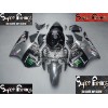 00-01 Kawasaki NINJA ZX12R DESIGN 5