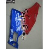 03-06 Ducati 749/999 DESIGN 12