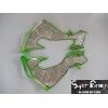 06-07 Kawasaki NINJA ZX10R DESIGN 3
