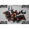 08-12 Kawasaki NINJA 250R DESIGN 8