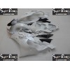 08-16 Yamaha YZF-R6 DESIGN 8