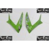 13-18 Kawasaki NINJA ZX6R DESIGN 15