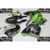 98-99 Kawasaki NINJA ZX9R DESIGN 4