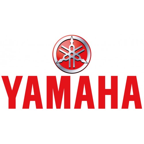 Screen - Yamaha YZF R6 2017-2020